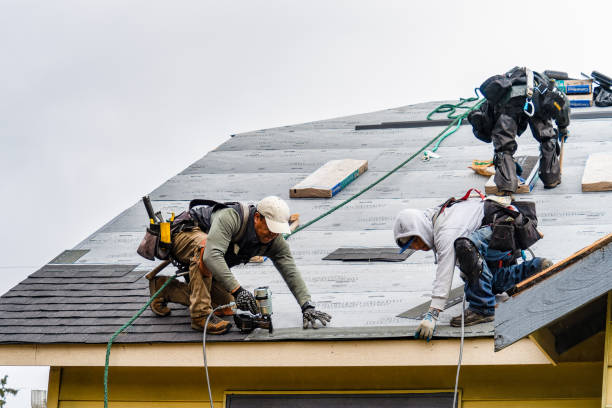 Professional Storm Damage Roof Repair technician working in Penhook, VA